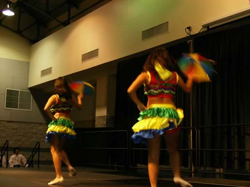 4th Annual Georgia International Folk Fair