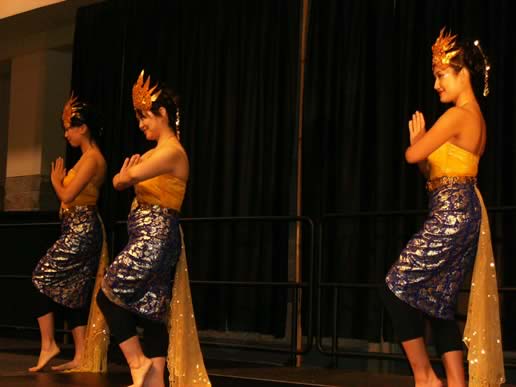 4th Annual Georgia International Folk Fair