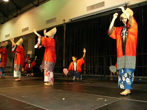 4th Annual Georgia International Folk Fair