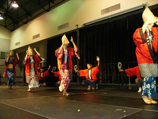 4th Annual Georgia International Folk Fair