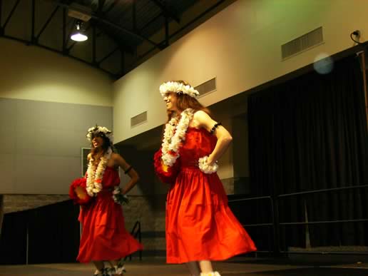 4th Annual Georgia International Folk Fair