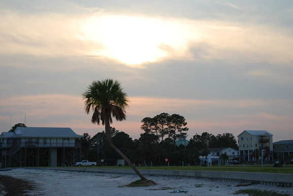 Farewell to Tallahassee, 2009