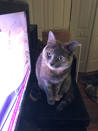 Miscellanea 2019; Christmas & 11th anniversary