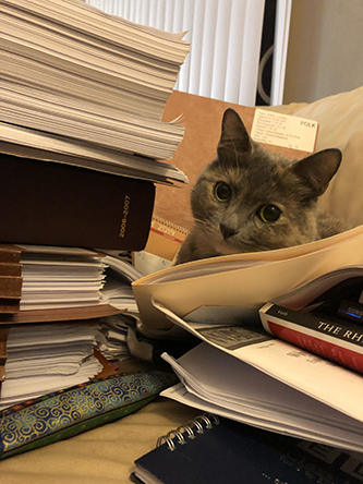 Miscellanea 2019; Christmas & 11th anniversary