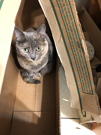 Miscellanea 2019; Christmas & 11th anniversary