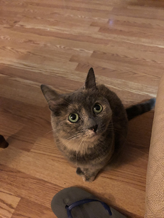 Miscellanea 2019; Christmas & 11th anniversary