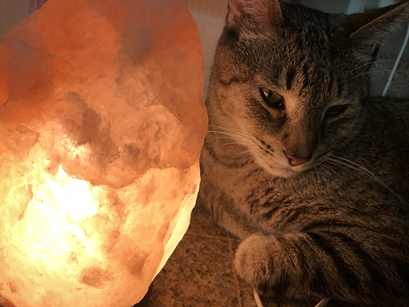 Miscellanea 2019; Christmas & 11th anniversary